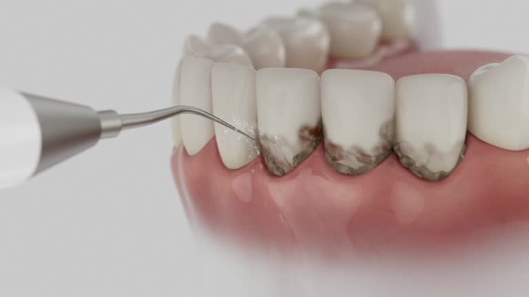 Reliable Dental contractor in Big Stone Gap, VA by Dentist Open Now